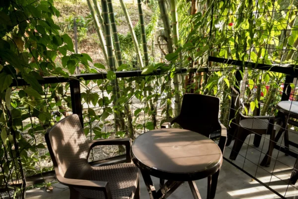 Carriqui Garden Hotel <span style="color:#d4af37;">★★★</span>